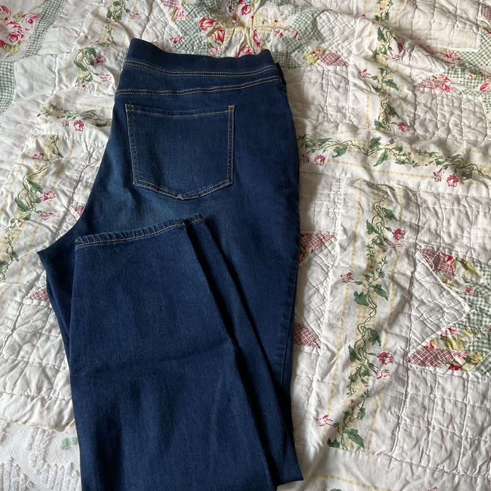 Wonderly Blue Jeggings Classic Style